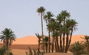 Elever les oasis au rang de patrimoine mondial