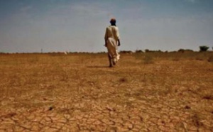 Les sécheresses récurrentes au Maroc entre prédictibilité et fatalité