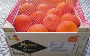 Le Maroc hausse le ton  à propos de l’accès des fruits et légumes au marché européen