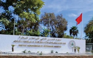 Série de mesures pour la continuité du parcours universitaire des étudiants marocains de retour d'Ukraine