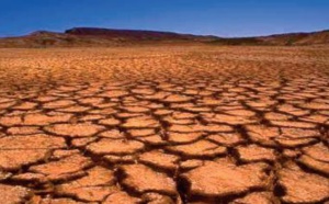 Stress hydrique au Maroc : Mobilisation tous azimuts à la quête de solutions innovantes