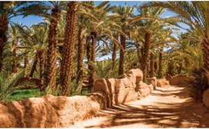 Action climatique: 78 milliards de dollars d’investissements nécessaires pour le Maroc d’ici 2050