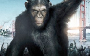 “La planète des singes”  de retour sur les écrans