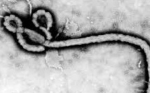 Ebola perturbe le trafic aérien et le foot en Afrique de l'Ouest