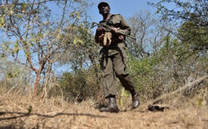 Ranger dans le Kruger: en première ligne de la guerre contre les braconniers