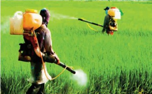 L’UE continue d’exporter des pesticides illégaux et toxiques aux pays du sud
