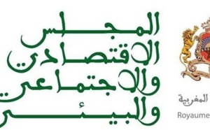 Banques participatives, un projet maroco-marocain selon le CESE