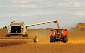 La FAO revoit à la baisse ses prévisions de production céréalière mondiale pour 2022