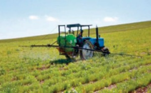 Les récentes précipitations auront un impact positif sur le couvert végétal et les activités agricoles