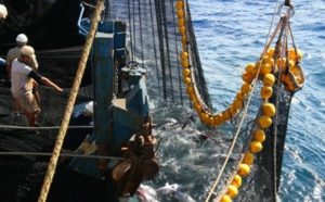 La surpêche en forte diminution en Méditerranée et en mer Noire
