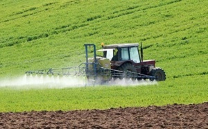 Bonnes prémices pour la campagne agricole 2022-2023 grâce aux dernières précipitations