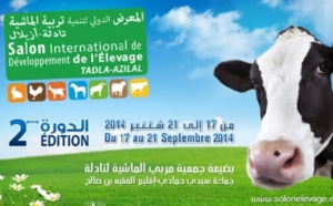 Une foire au service du  secteur de l'élevage et des  filières animales à Tadla Azilal