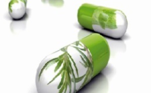 Les pharmacologues arabes tiennent leur première réunion à Rabat