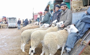 Aïd Al Adha, la fête de tous les sacrifices