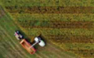 Rabat-Salé-Kénitra: Les dernières précipitations s'annoncent de bon augure pour la campagne agricole 2022-2023