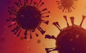 Le Maroc souligne l'impératif de maintenir la coordination pour protéger la santé mondiale