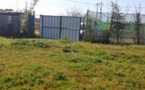 Drame dans une ferme à Kénitra : Le bilan porté à six morts
