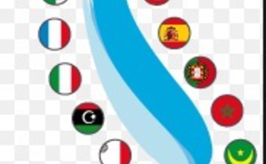 ​Plaidoyer pour une coopération méditerranéenne accrue