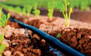 La sécurité alimentaire et hydrique, un facteur indispensable au maintien de la paix dans le monde et particulièrement en Afrique