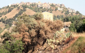​Le prix Green Apple Award Trophy décerné  à une revue environnementale marocaine
