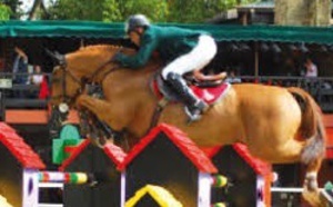 ​Le cheval Garrogorille remporte  le Grand Prix SM le Roi Mohammed VI