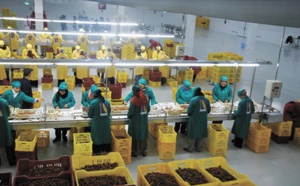 La diaspora marocaine en appelle à la simplification des procédures La diaspora marocaine en appelle à la simplification des procédures