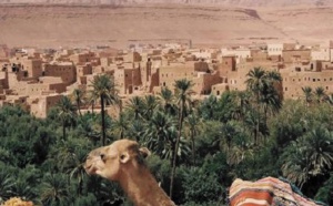 ​Le troisième Forum international des oasis s’attaque à l’agriculture familiale