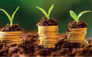 Et le privé dans tout ça ?