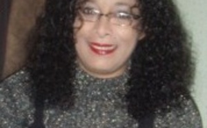 “Les étrangers au pays des Vikings”, les histoires des diasporas en Norvège