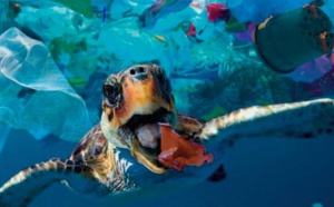 Pollution Plastique. L'économie circulaire, une solution durable pour la planète Terre mise à mal