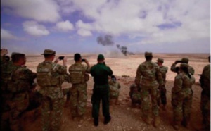 Des observateurs militaires de huit pays assistent à des entraînements opérationnels au Cap Drâa