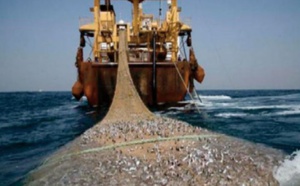 Les intérêts d'un Maroc serein, d'un Maroc souverain priment sur tout le reste