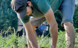 Agriculture: Une convention pour faciliter le recrutement de saisonniers marocains en France