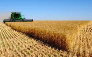 La production céréalière mondiale se dirige vers un niveau record en  2023