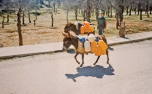 REPORTAGE. La pénurie d’eau vue par ceux qui en pâtissent le plus !