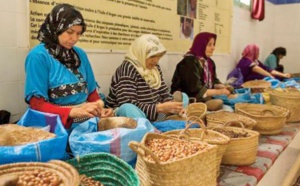 La Fondation OCP accompagne plus de 800 coopératives marocaines et africaines