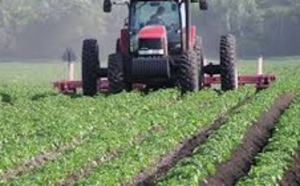 ​Appel à tous les intervenants du secteur agricole à fédérer leurs efforts