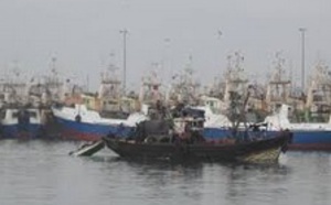 ​Le port de Tan Tan se dote d'une nouvelle halle aux poissons