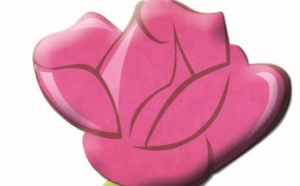 Les projets de lois organiques sur les régions  et les collectivités au centre d’une rencontre  des Groupes socialistes au Parlement Les projets de lois organiques sur les régions  et les collectivités au centre d’une rencontre  des Groupes socialistes au Parlement