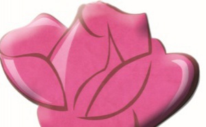 Activités du parti Activités du parti