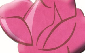 Activités du parti Activités du parti