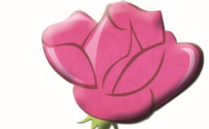 2ème Congrès provincial d’Ifrane 2ème Congrès provincial d’Ifrane