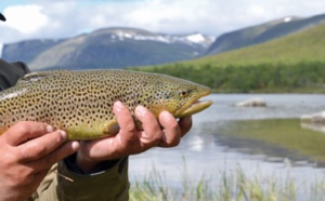 ​La production de poissons d’eau douce au secours des revenus des pêcheurs