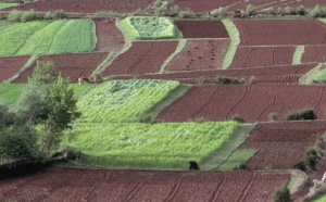 ​La campagne agricole s’annonce sous de bons auspices