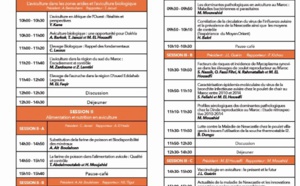 Les 8èmes journées scientifiques du secteur avicole à Dakhla Les 8èmes journées scientifiques du secteur avicole à Dakhla