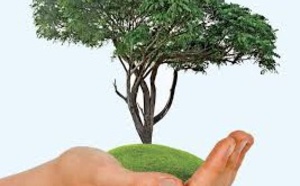​Bon cru pour le Plan agricole régional de Marrakech-Tensift-El Haouz