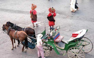 Les activités agricoles à la rescousse… Les activités agricoles à la rescousse…