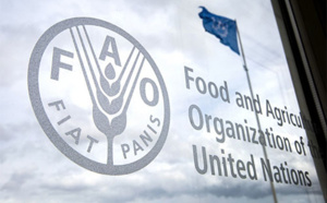 Les prévisions pour la production mondiale de céréales en 2023 maintenues à 2. 819 millions de tonnes