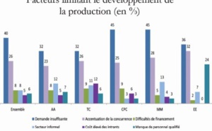 ​Les industriels «électrique et électronique» pointent du doigt le manque de personnel qualifié