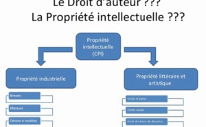 ​Les propriétés intellectuelle, industrielle et commerciale en question